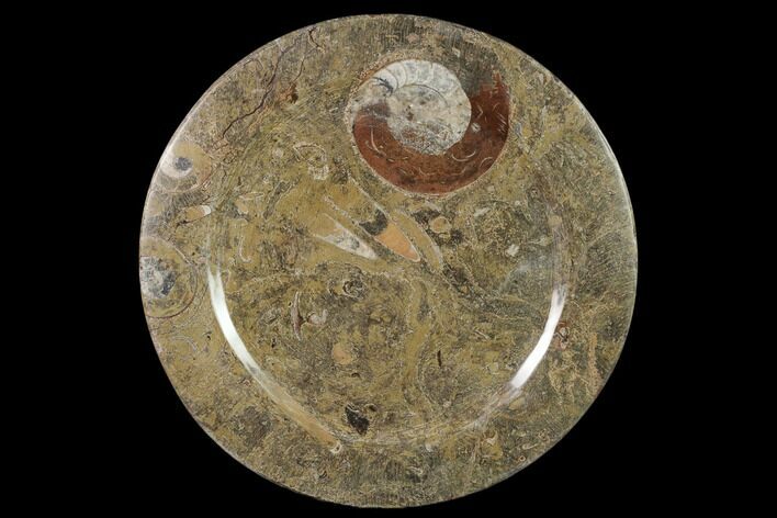 Fossil Orthoceras & Goniatite Round Plate - Stoneware #140077